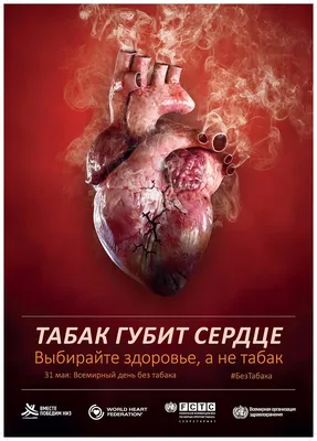 День отказа от курения 17.11.2022 г | ГБУЗ ПККБ1