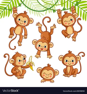 мультяшный милый коричневый орангутан. векторный рисунок контура  тропического леса. изолированная обезьяна на белом фоне Иллюстрация вектора  - иллюстрации насчитывающей апертур, ангстрома: 218877567