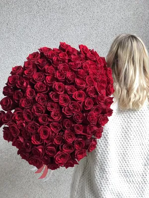 Роза, одна красная роза, лист, растение Стебель, цветок png | Klipartz