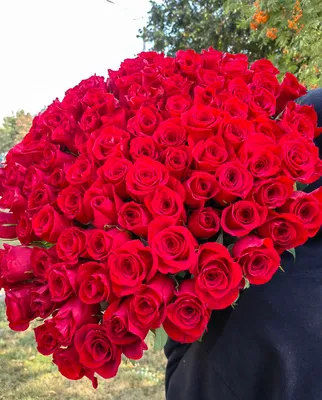 Заказать Букет \"Пятьдесят одна роза\" | Цветули - уникальный сервис по  доставке цветов без накруток и посредников в городе Магадан