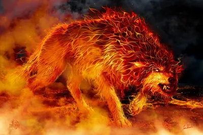 Картинка собака в огне - 76 фото