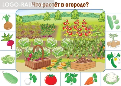 Шаблоны аппликации для малышей \"Веселый огород\". Набор для занятий  аппликацией из бумаги дома или в младшей группе детского.. | ВКонтакте