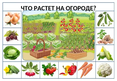 МБДОУ детский сад №110, Rused - Единая сеть образовательных учреждений.