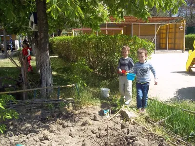 Смотрят зайцы в огород. Цифры, счет, сравнение, овощи-фрукты и где растут?