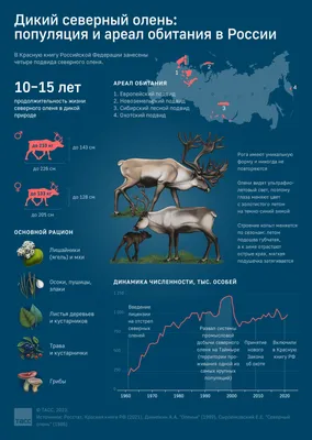 В Кавказском заповеднике увеличилась численность благородного оленя -  Новости РГО