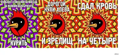 Омская птица - YouTube