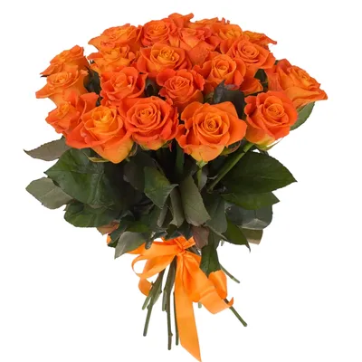 Картинки оранжевые розы фото