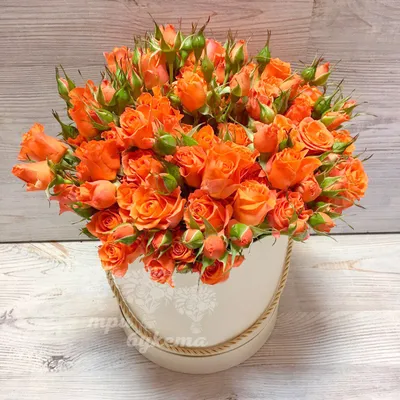 Букет из 21 оранжевой розы – цветы с доставкой в Брянске | Iris32