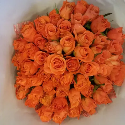 Оранжевые розы: в чем уникальность | Полезные статьи от Julia-Flower