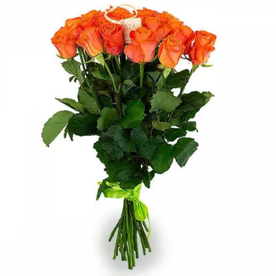 Оранжевые розы Карпе Дием | Купить Цветы Онлайн Майкоп