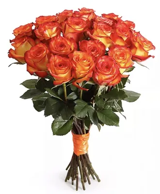 Розы оранжевые - 33р, доставка в Питере