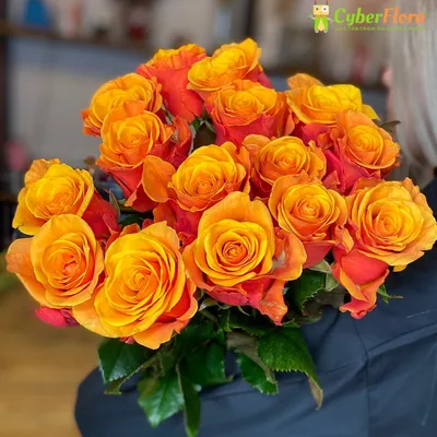 Что означают оранжевые розы и к чему их дарят