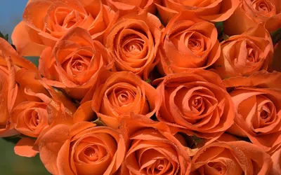 Букет из 21 красной и оранжевой розы 5410 ₽ с доставкой по Москве