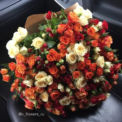51 роза оранжевые и белые 40см доставка в Саратове | Роза64