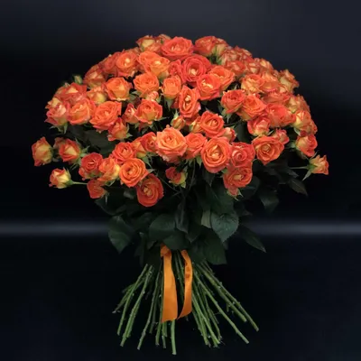 23 оранжевые розы (50 см) – купить оптом и в розницу в Москве и Московской  области – Городская База Цветов