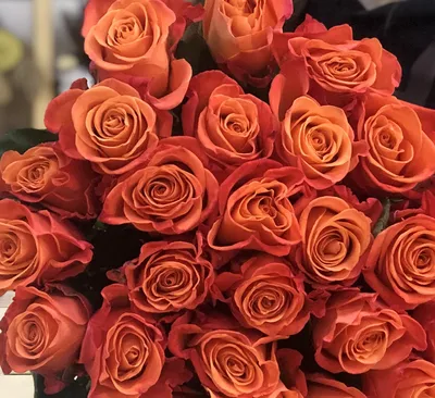 Оранжевые розы - сердце за 9 390 руб. | Бесплатная доставка цветов по Москве