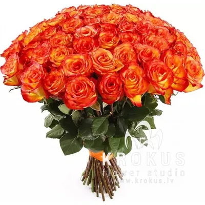 51 оранжевая роза - Доставкой цветов в Москве! 7614 товаров! Цены от 487  руб. Цветы Тут