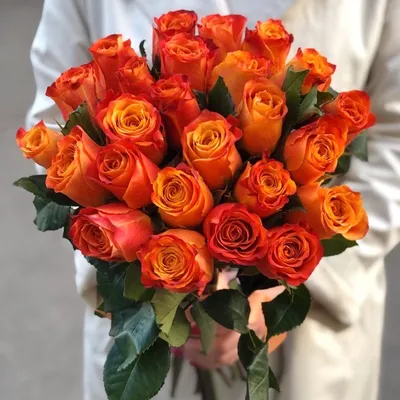 Кустовые оранжевые розы 35 шт, купить в Москве с доставкой, цены в  интернет-магазине