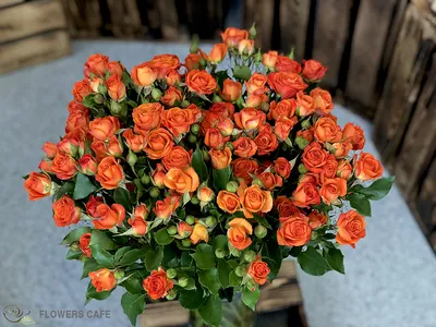Оранжевые розы в вазе стоковое фото. изображение насчитывающей стекло -  31465798