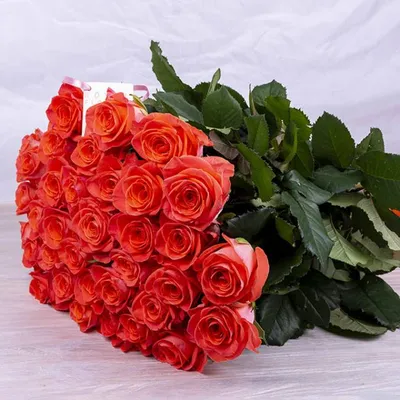 Букет из 15 оранжевых роз (50 см.) в упаковке купить в Барнауле | Розы  недорого оптом розница