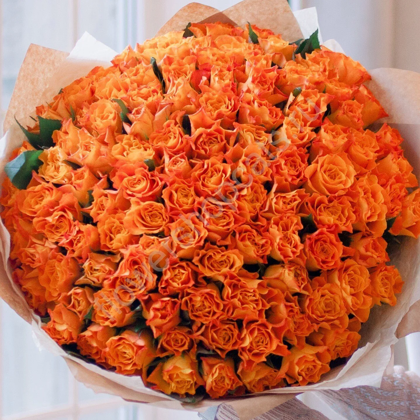 Оранжевые розы к чему