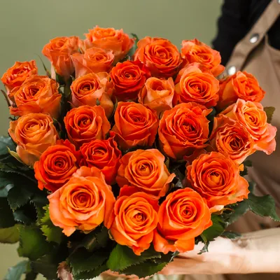 Оранжевые розы 60 см - ZiediKarmena