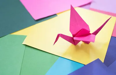 Оригами Бумаги Чайка Птица — стоковые фотографии и другие картинки Оригами  - Оригами, Чайка, Азия - iStock