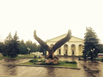 У мужчины на Иссык-Куле нашли краснокнижного степного орла — фото -  30.07.2022, Sputnik Кыргызстан