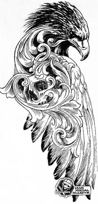 коричневое изображение орла Стоковое Изображение - изображение  насчитывающей хоук, клюв: 9200663