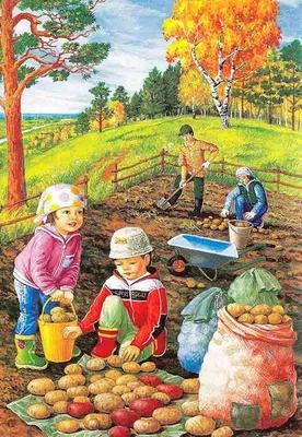 Картинки осень для детей для занятий дома и в садике | Краска, Художники,  Рисунки