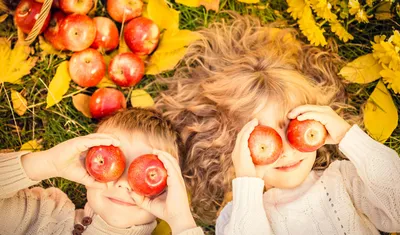 Дети и осень ребенок в осенних листьях Стоковое Изображение - изображение  насчитывающей малыш, природа: 161015935