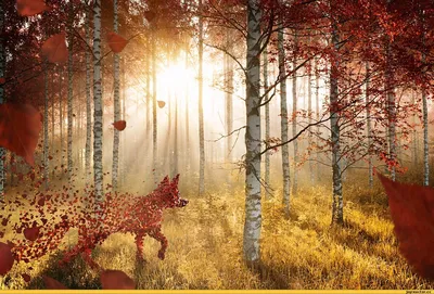 Лесные животные. Осень – Sadko