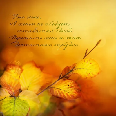 Осень картинки со стихами - 65 фото