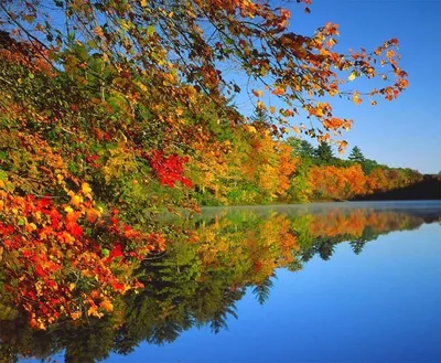 осень #сентябрь #пейзаж #река #дерево #красотаприроды #красотаприроды  #пейзажироссии #фотодляроссии #осеньзолотая #landscapephoto… | Instagram