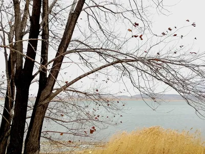 сентябрь здравствуй осень красная PNG , опавшие листья, патио, осенью  Иллюстрация Изображение на Pngtree, Роялти-фри