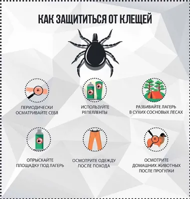 Осторожно клещи! - analyzes.ru