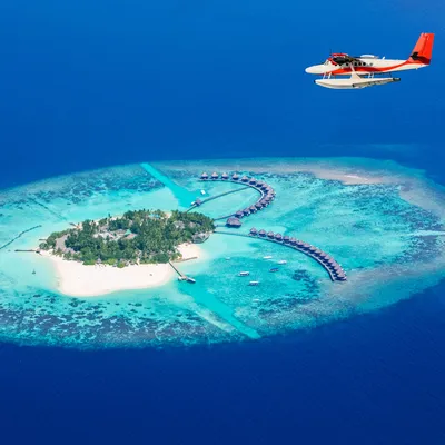 whitegiraf - Мальдивские острова