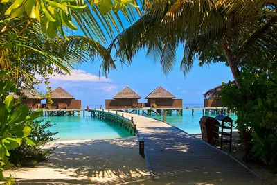 Остров Велиганду Мальдивы - Бесплатное фото на Pixabay - Pixabay