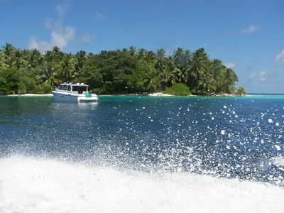 Мальдивы - цены на отдых дешевле Букинга, когда лучше ехать и какой отель- остров выбрать, отзывы