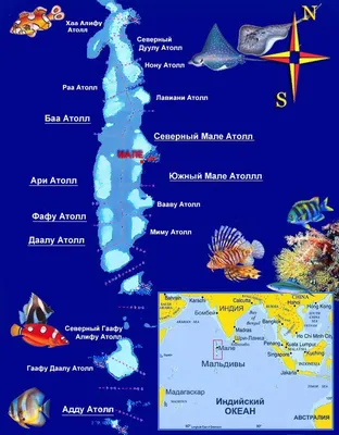 Отпуск на Мальдивах от Space Travel: обзор островов на лето-2023