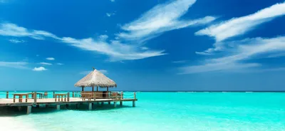 Острова Мальдивы » Туристу о Мальдивах » Мальдивы - Отдых на Мальдивах -  отели, отзывы, туры, курорты, фото