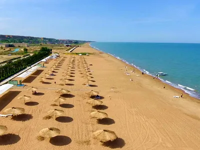 Отдых на море в Польше: лучшие пляжи, развлечения и цены - Покупки в Польше