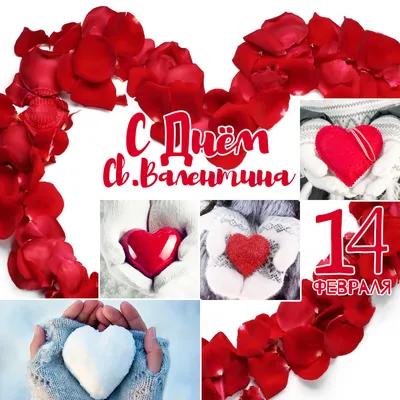 Открытки к 14 февраля: новые поздравления в стихах и прозе ко Дню всех  влюбленных - sib.fm