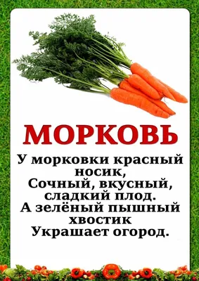 Набор овощной: томаты, огурец 500 г - отзывы покупателей на маркетплейсе  Мегамаркет | Артикул: 100029809559