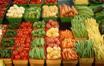 Сушилка Kitfort KT-1911 для овощей и фруктов из нержавеющей стали купить по  цене 16 490 руб.: отзывы, фото, руководство