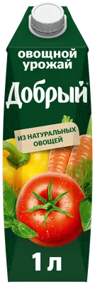 Урожай овощей «борщевого набора» выше прошлогоднего – Агроинвестор