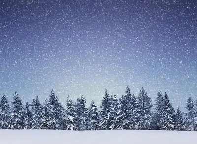 Реальный падающий снег на черном фоне для использования в режиме наложения  в графическом редакторе. стоковое фото ©elena2067.mail.ru 548848238