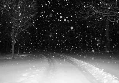 Падающий снег на черном фоне - фото и картинки abrakadabra.fun