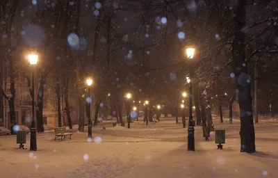 Фотографии падающего снега в огороженном парке в снегу днем Фон И картинка  для бесплатной загрузки - Pngtree