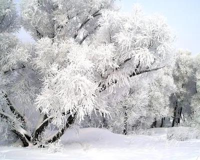 Картинка падающего снега